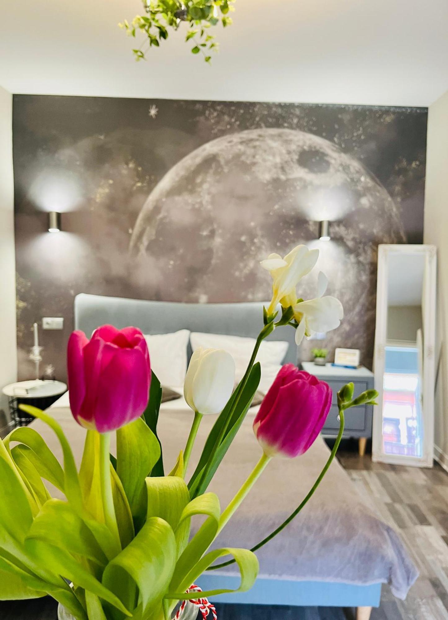 Moon And Sun Apartments Sibiu Extérieur photo
